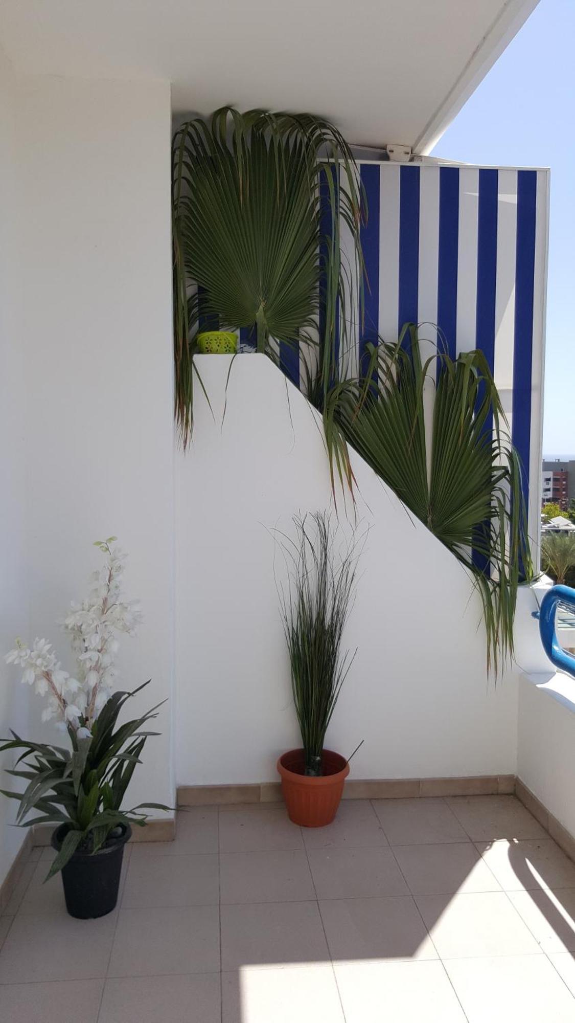 Paraiso Del Sur Playa Paraiso  Exterior photo